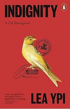 Indignity: A Life Reimagined